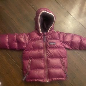 Baby Girl Patagonia 6-12 month Hi Loft Down Jacket